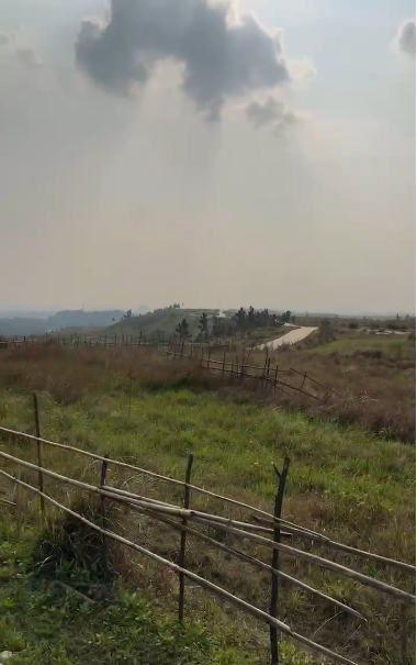 1713839397420103.png 圖片2.png