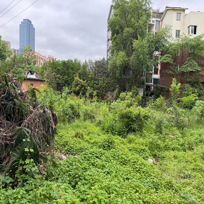 圖片關(guān)鍵詞