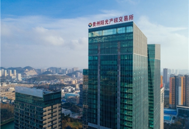 圍繞國發2號文件精神  聚力“強省會”五年行動  打造綜合性要素交易平臺