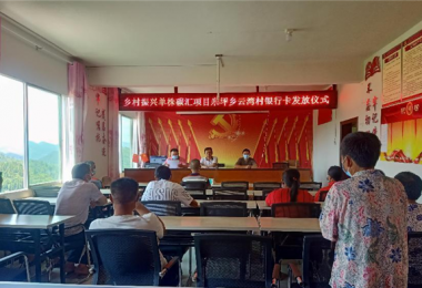 種樹能致富  綠水青山真成了金山銀山——單株碳匯項目在米坪鄉云灣村落實落地