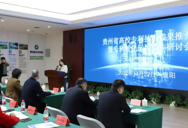 加強知識產權運營 助力實體經濟發展——貴州省高校專利技術成果推介會暨專利轉化運用研討會圓滿召開