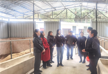 貴州陽光產權交易所開展鄉村振興調研和普法宣傳