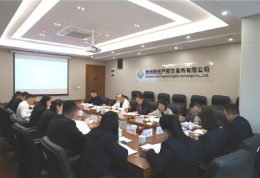 貴州省地方金融監(jiān)管局、貴州證監(jiān)局、貴陽市金融辦到貴州陽光產(chǎn)權(quán)交易所、貴州環(huán)交所開展權(quán)益類交易場所調(diào)研