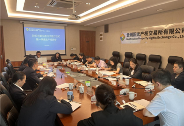 貴州陽光產權交易所召開2023年一季度生產經營分析會暨目標責任書簽訂儀式