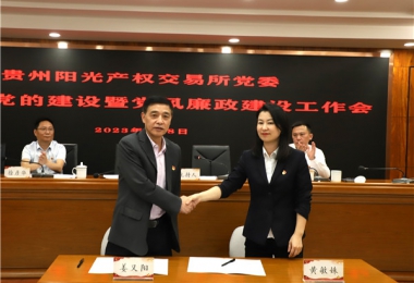 貴州陽光產權交易所黨委召開2023年黨的建設暨黨風廉政建設工作會