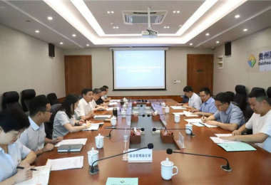 西南聯合產權交易所、西藏電子商務有限公司與貴州陽光產權交易所交流座談會