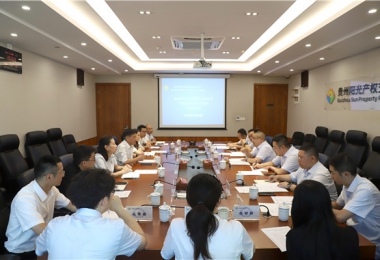 資源互補 共謀發展——貴州省資產管理公司與貴州陽光產權交易所召開交流座談會