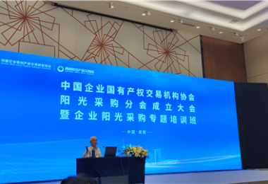 業務培訓拓思路  夯實基礎促服務——招采中心服務效能提升系列行動之專題培訓篇