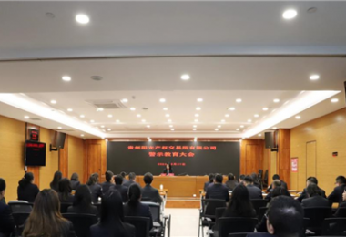 以案為鑒，警醒前行——貴州陽光產權交易所黨委組織召開2024年警示教育大會