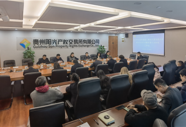 貴州陽光產權交易所2024年今冬明春重大事故災害隱患排查整治專項行動暨冬春火災防控工作會