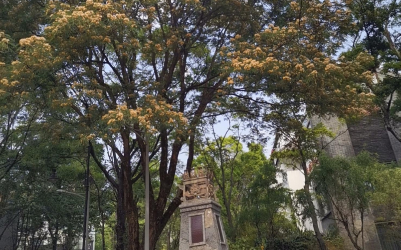 云南省大理山水間二期一組團草鷺4－2號房產轉讓(二次掛牌)